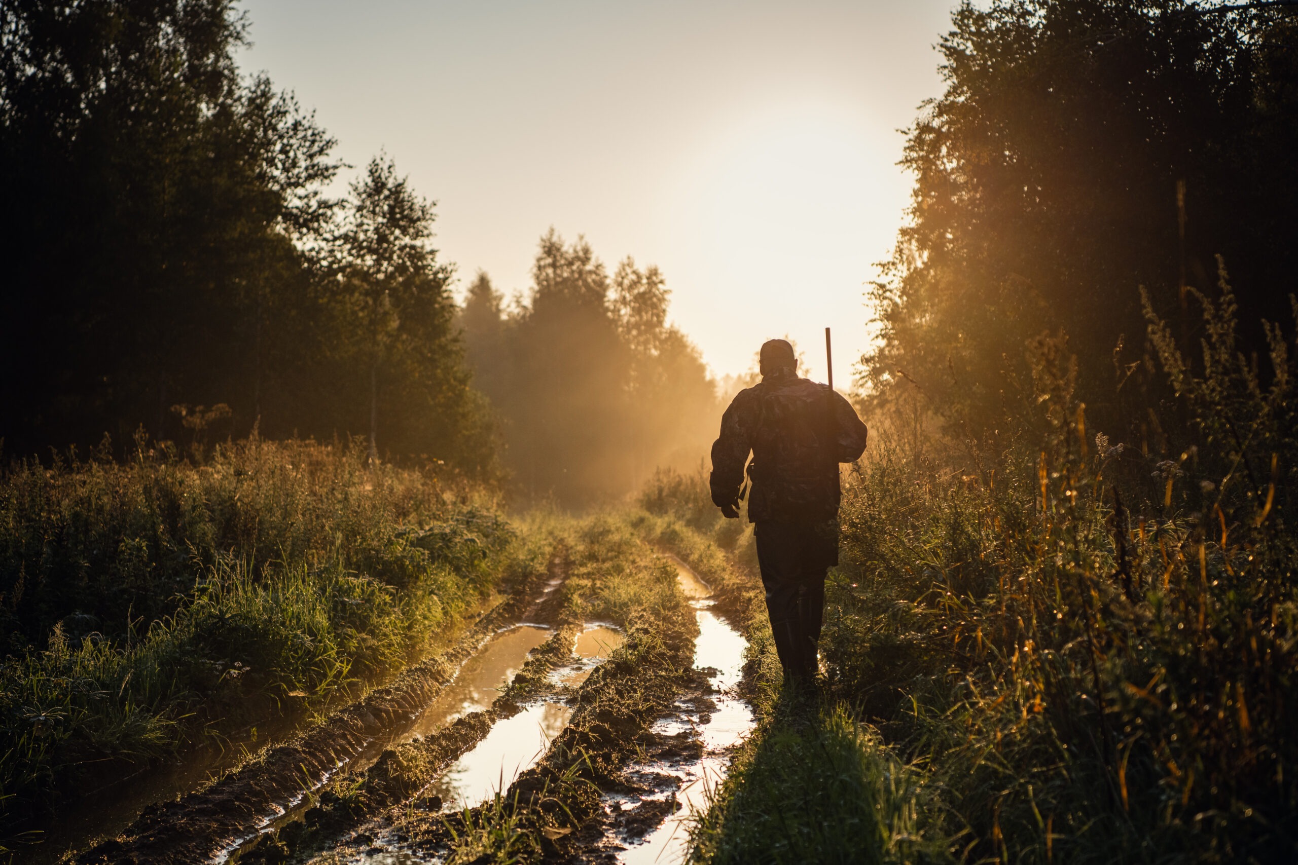 Vintage Hunter Walks the Forest Road